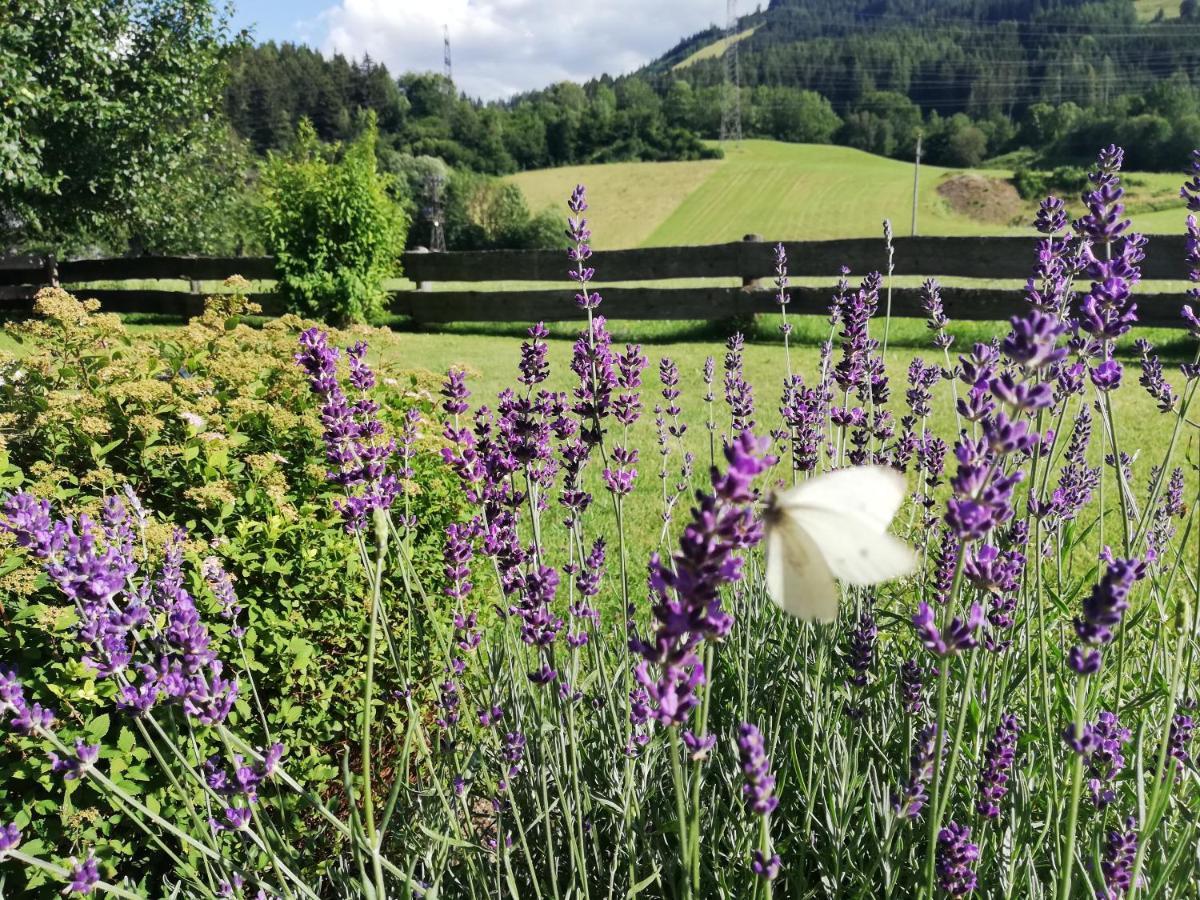 Haus Schreder Apartment Saalfelden ภายนอก รูปภาพ