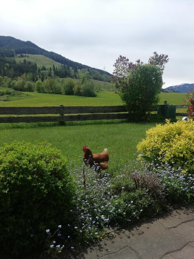 Haus Schreder Apartment Saalfelden ภายนอก รูปภาพ
