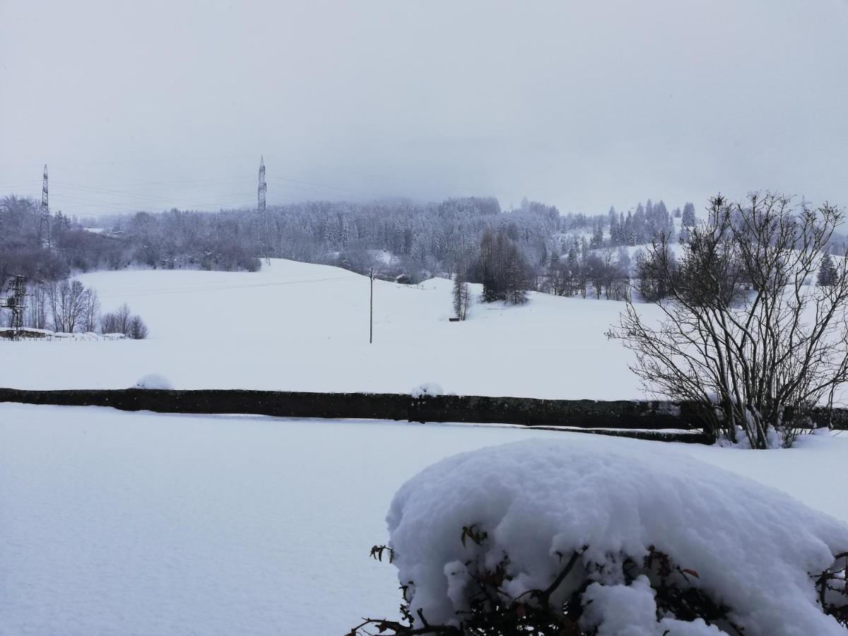 Haus Schreder Apartment Saalfelden ภายนอก รูปภาพ