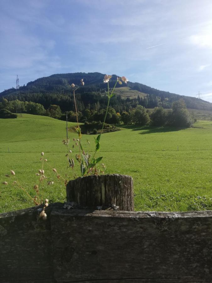 Haus Schreder Apartment Saalfelden ภายนอก รูปภาพ