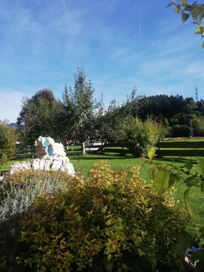 Haus Schreder Apartment Saalfelden ภายนอก รูปภาพ